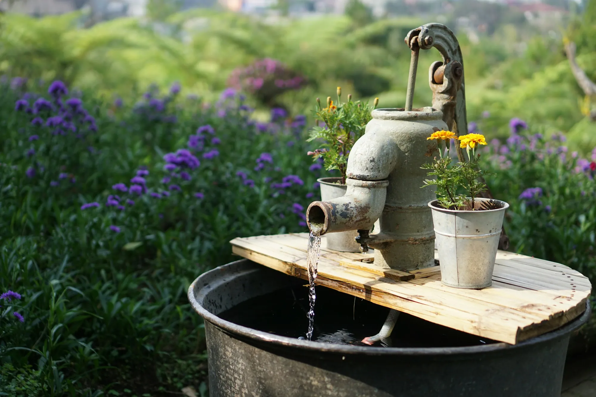 Old hand well pump pouring water into a tub among flowers